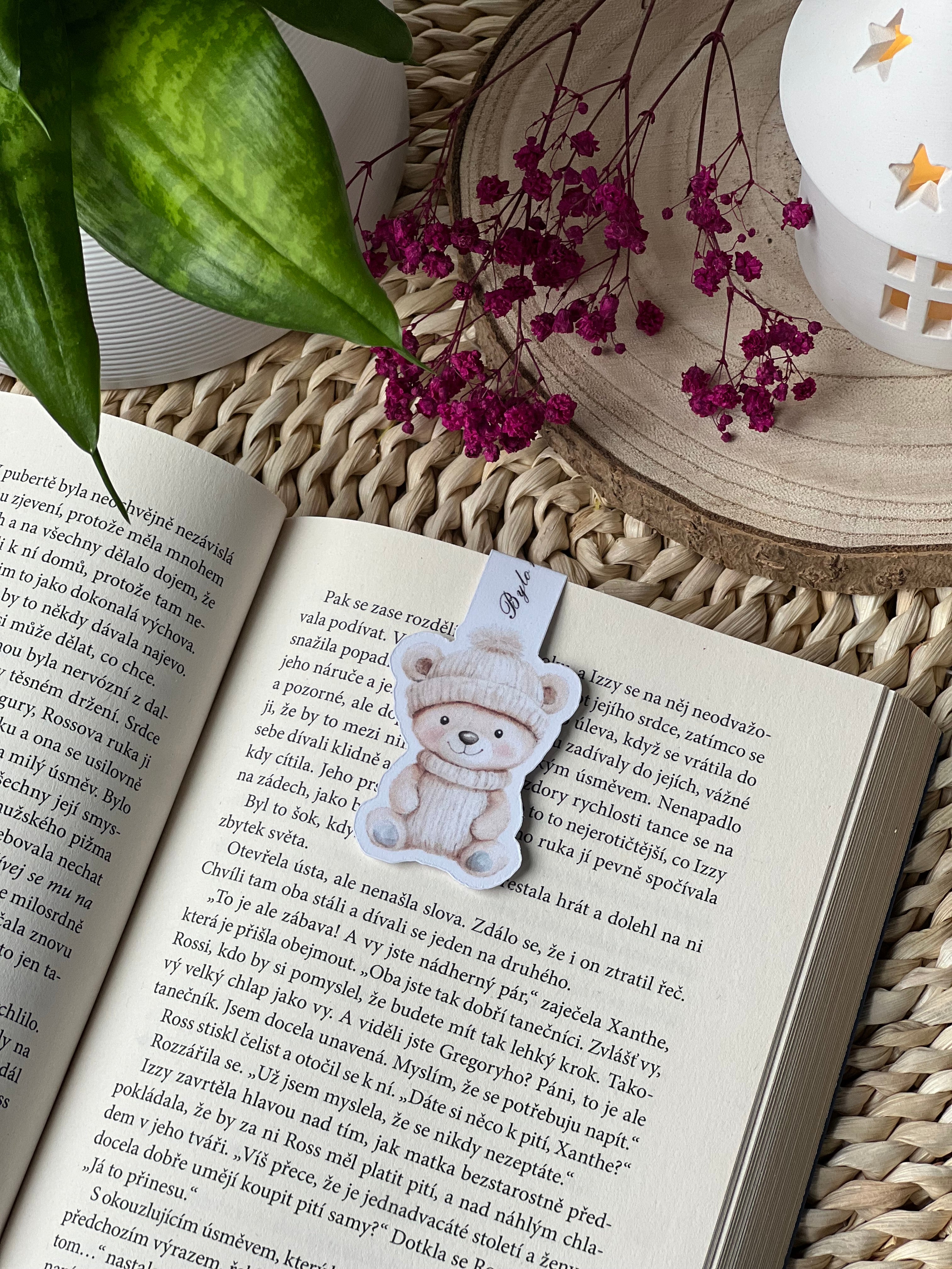 Magnetická záložka - Pan Medvídek