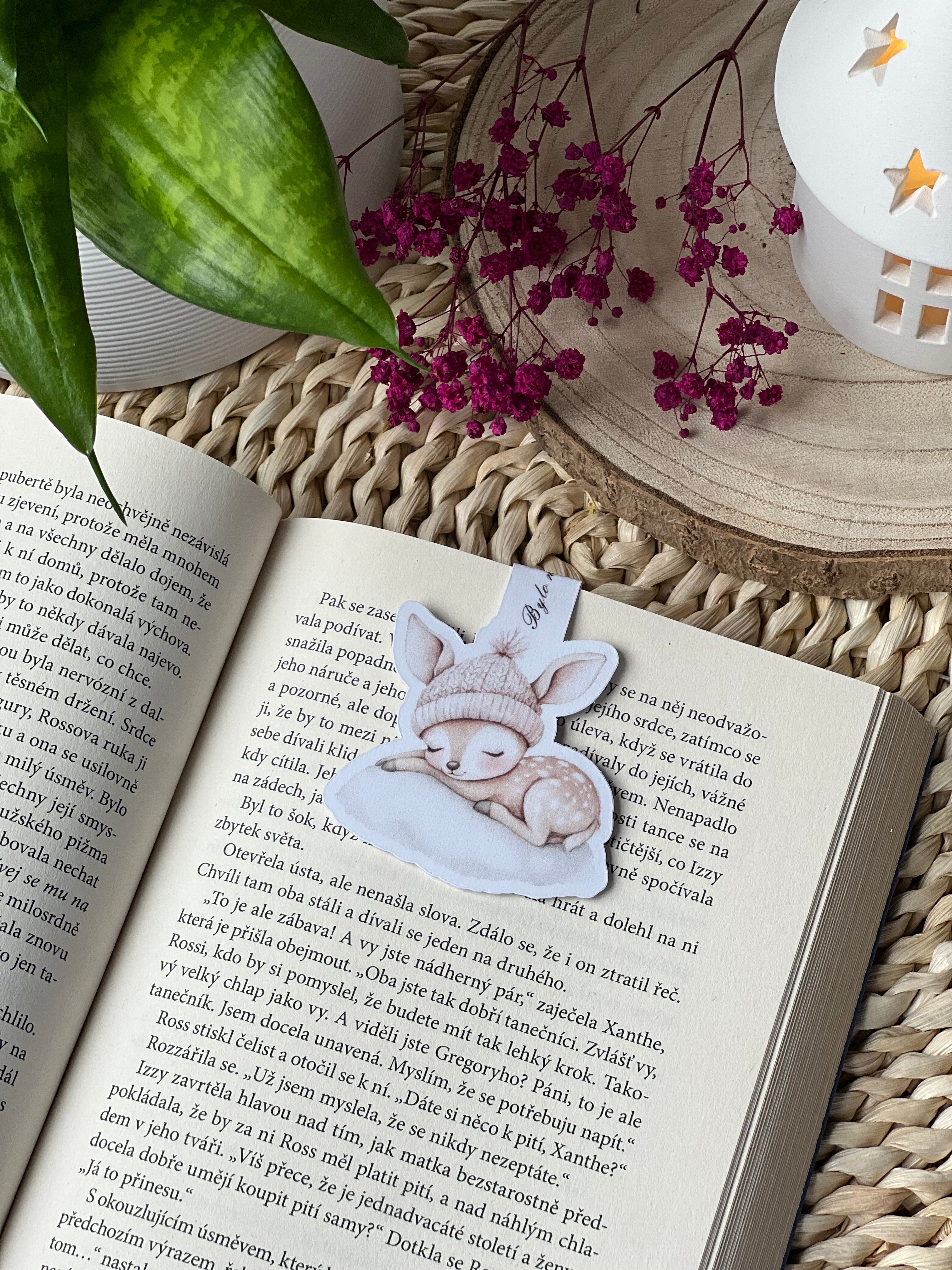 Magnetická záložka - Koloušek