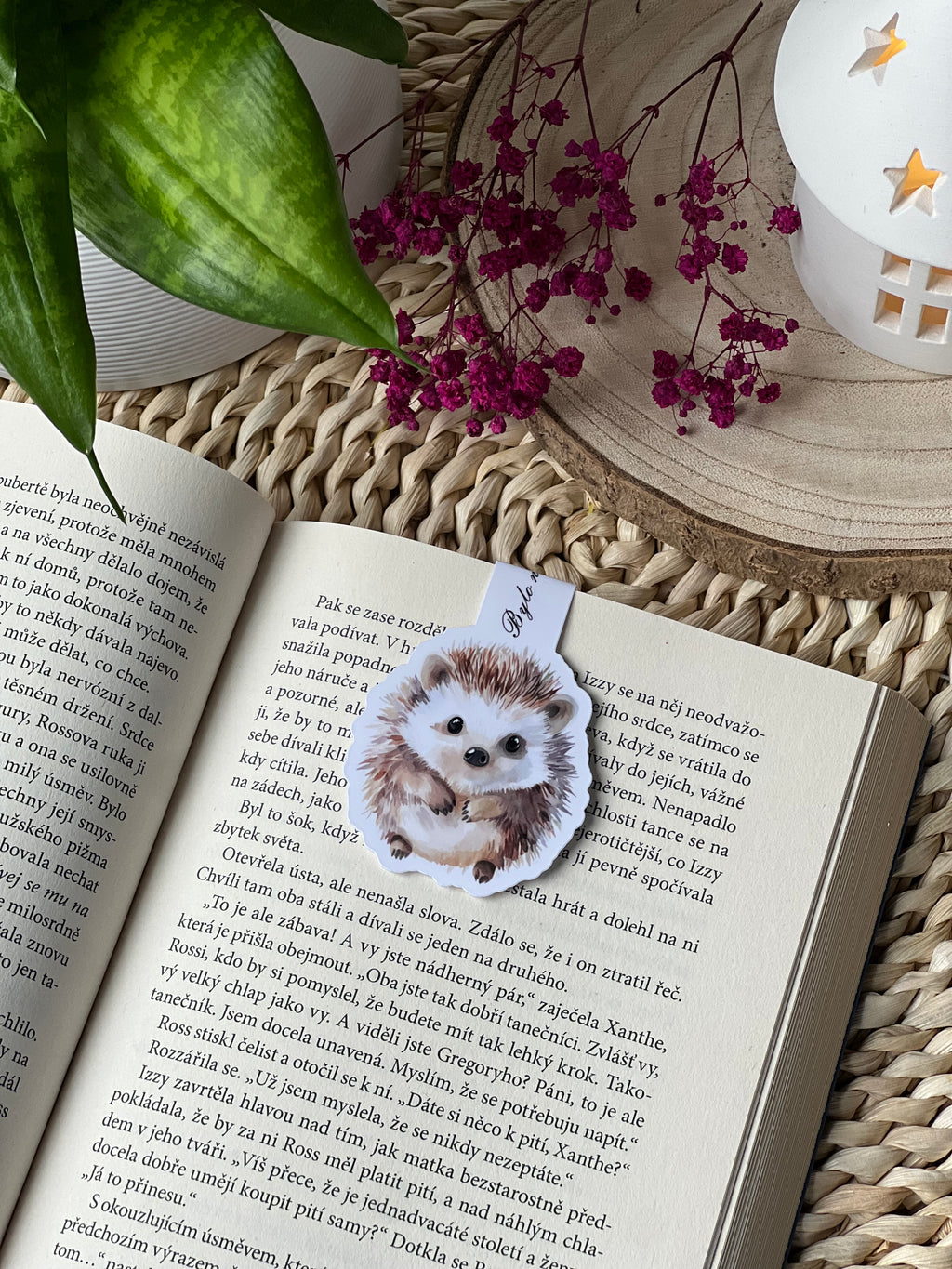 Magnetická záložka -  Pan Ježek