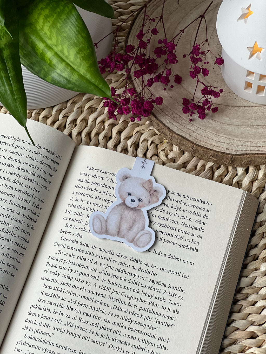 Magnetická záložka - paní Medvídková