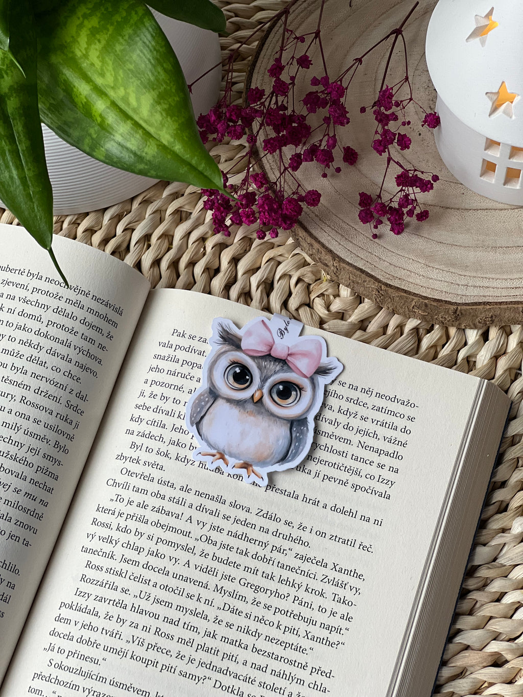 Magnetická záložka - Sova