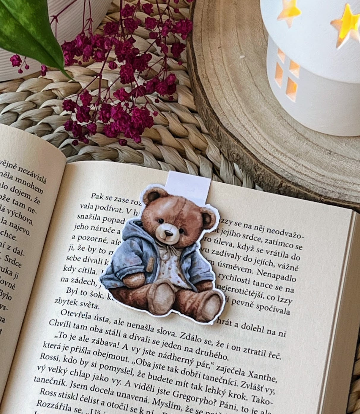 Magnetická záložka - Pan Méďa